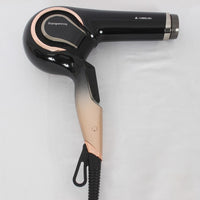 レプロナイザー 4D Plus REP4D-JP バイオプログラミング ヘアドライヤー リュミエリーナ 本体
